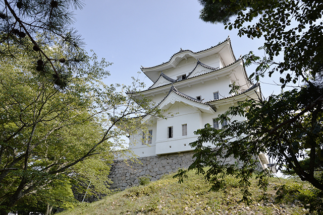 伊賀上野城