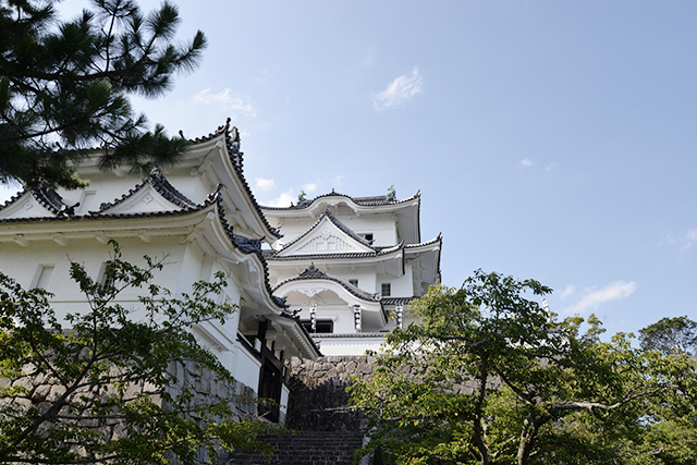 伊賀上野城