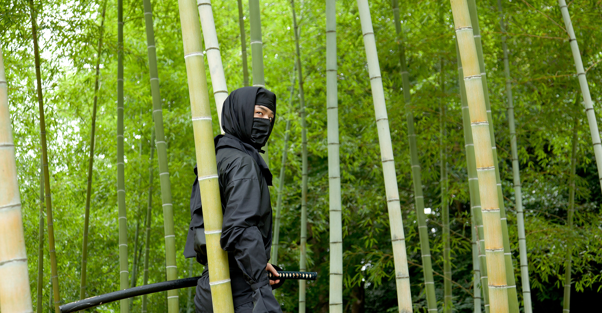 メインビジュアル